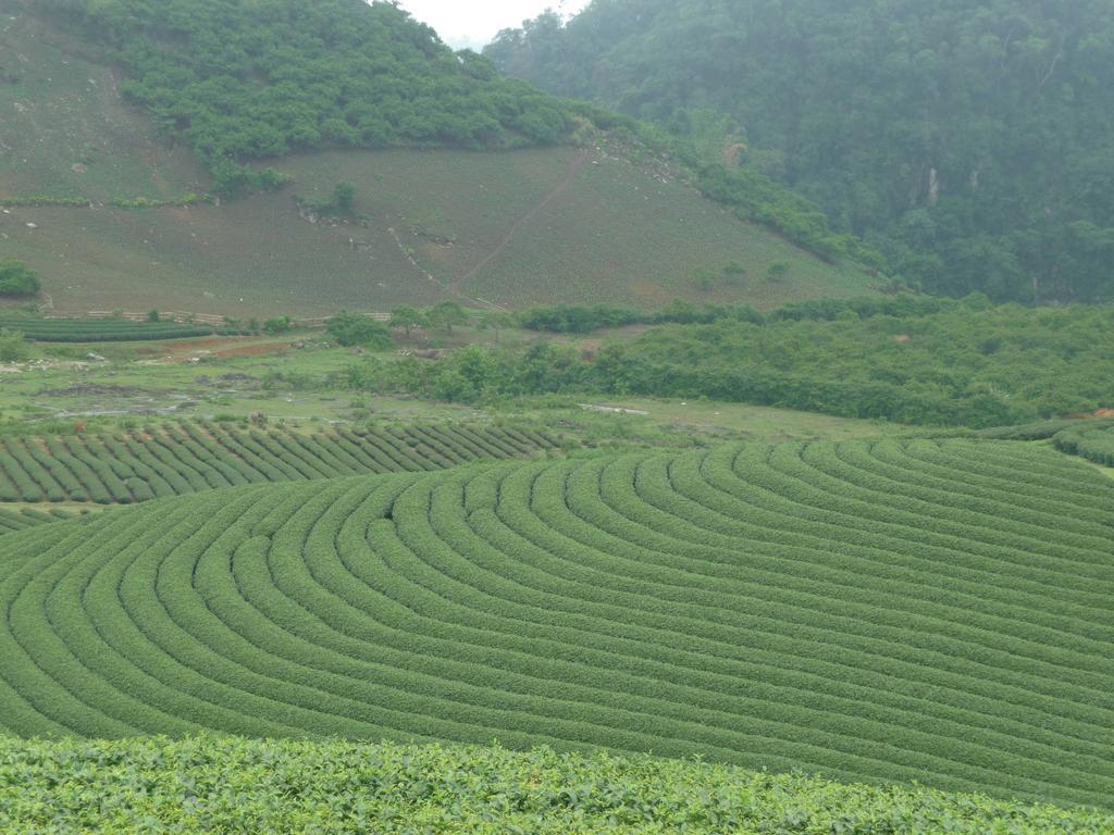 Mai Chau Valley View Hotel Hòa Bình Buitenkant foto